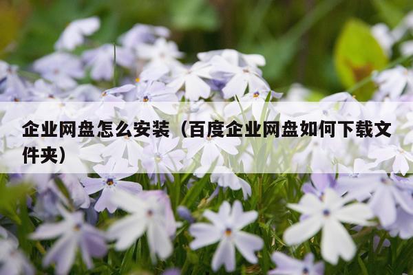 企业网盘怎么安装(百度企业网盘如何下载文件夹)