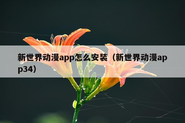新世界动漫app怎么安装(新世界动漫app34)