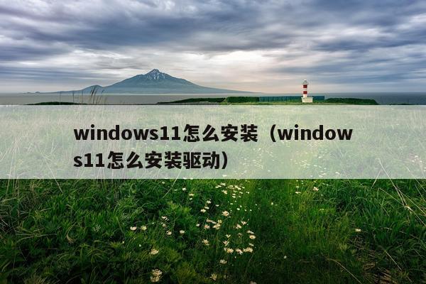 windows11怎么安装(windows11怎么安装驱动)