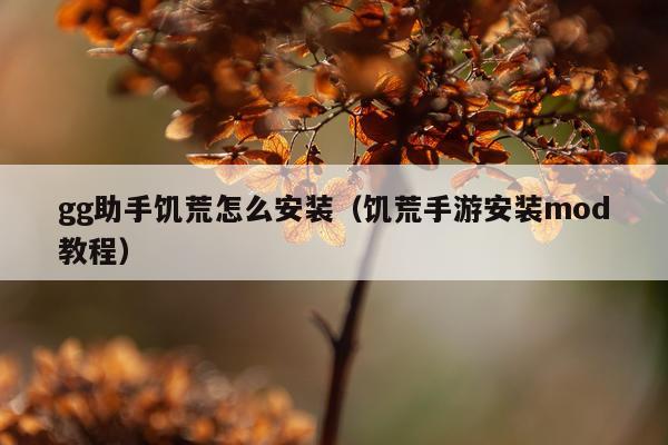 gg助手饥荒怎么安装(饥荒手游安装mod教程)