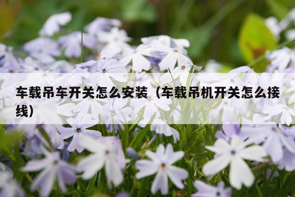 车载吊车开关怎么安装(车载吊机开关怎么接线)