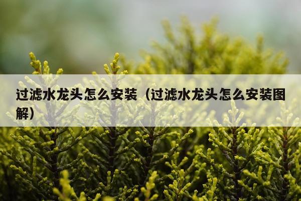 过滤水龙头怎么安装(过滤水龙头怎么安装图解)