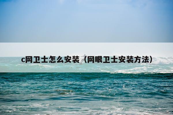 c网卫士怎么安装(网眼卫士安装方法)