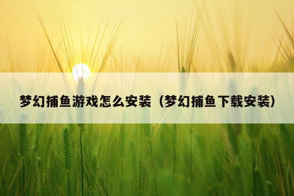 梦幻捕鱼游戏怎么安装(梦幻捕鱼下载安装)