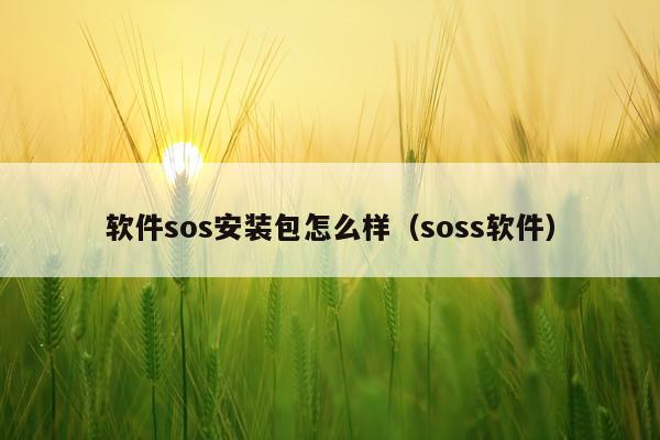 软件sos安装包怎么样(soss软件)