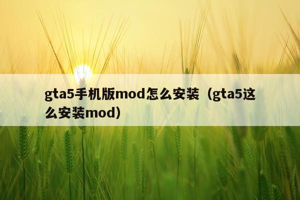 gta5手机版mod怎么安装(gta5这么安装mod)