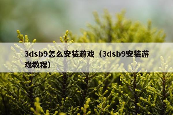3dsb9怎么安装游戏(3dsb9安装游戏教程)