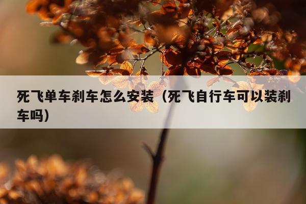 死飞单车刹车怎么安装(死飞自行车可以装刹车吗)