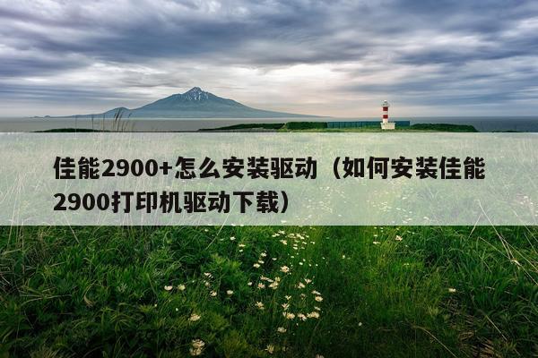 佳能2900+怎么安装驱动(如何安装佳能2900打印机驱动下载)