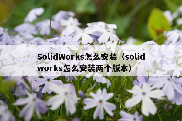 SolidWorks怎么安装(solidworks怎么安装两个版本)