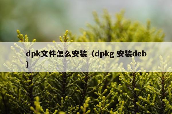 dpk文件怎么安装(dpkg 安装deb)