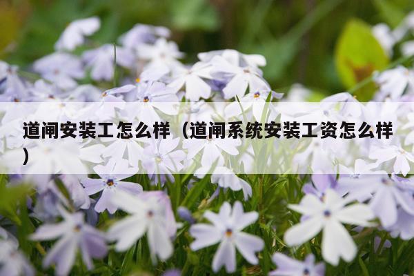 道闸安装工怎么样(道闸系统安装工资怎么样)