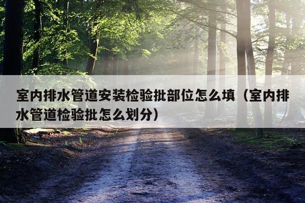 室内排水管道安装检验批部位怎么填(室内排水管道检验批怎么划分)