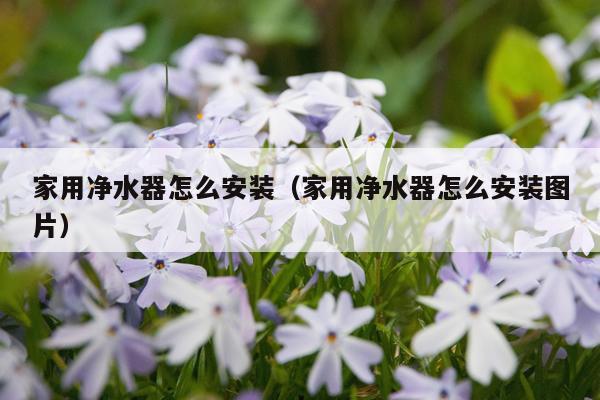 家用净水器怎么安装(家用净水器怎么安装图片)