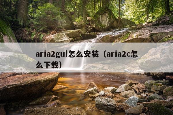 aria2gui怎么安装(aria2c怎么下载)