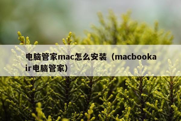 电脑管家mac怎么安装(macbookair电脑管家)