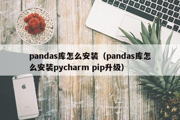 pandas库怎么安装(pandas库怎么安装pycharm pip升级)