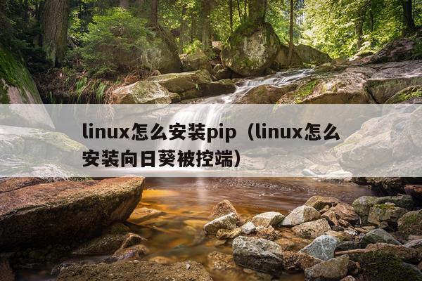 linux怎么安装pip(linux怎么安装向日葵被控端)