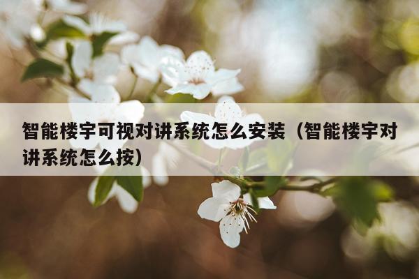智能楼宇可视对讲系统怎么安装(智能楼宇对讲系统怎么按)