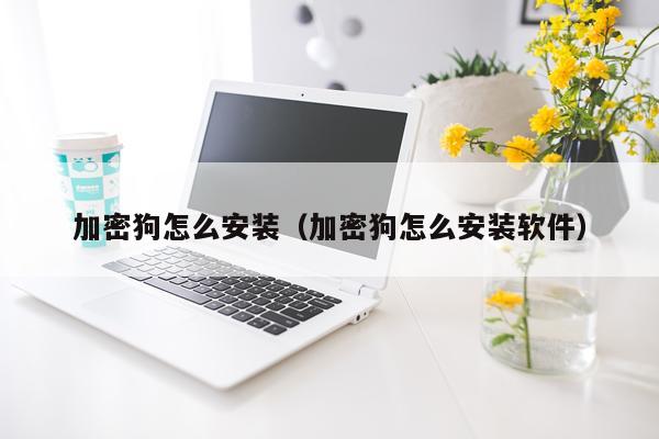 加密狗怎么安装(加密狗怎么安装软件)