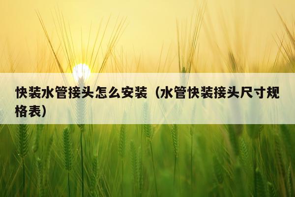 快装水管接头怎么安装(水管快装接头尺寸规格表)