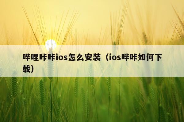 哔哩咔咔ios怎么安装(ios哔咔如何下载)