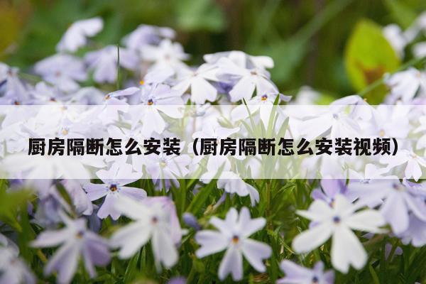 厨房隔断怎么安装(厨房隔断怎么安装视频)