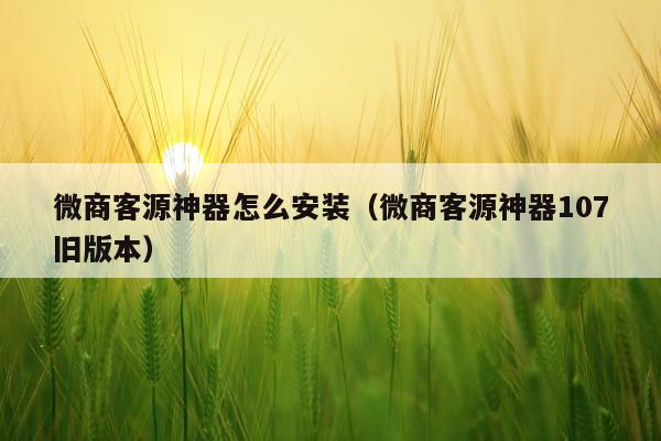 微商客源神器怎么安装(微商客源神器107旧版本)