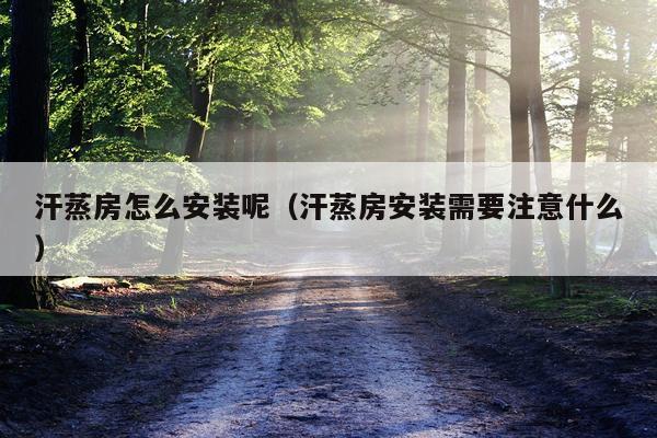 汗蒸房怎么安装呢(汗蒸房安装需要注意什么)