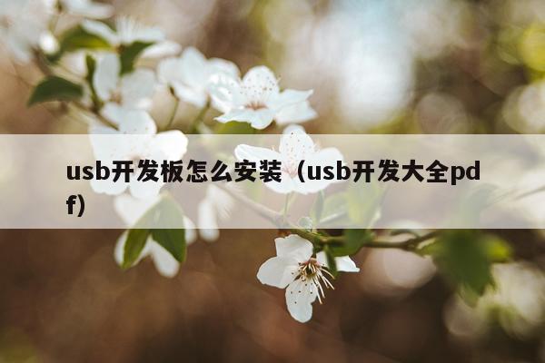 usb开发板怎么安装(usb开发大全pdf)