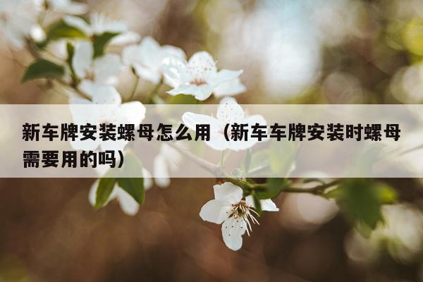 新车牌安装螺母怎么用(新车车牌安装时螺母需要用的吗)