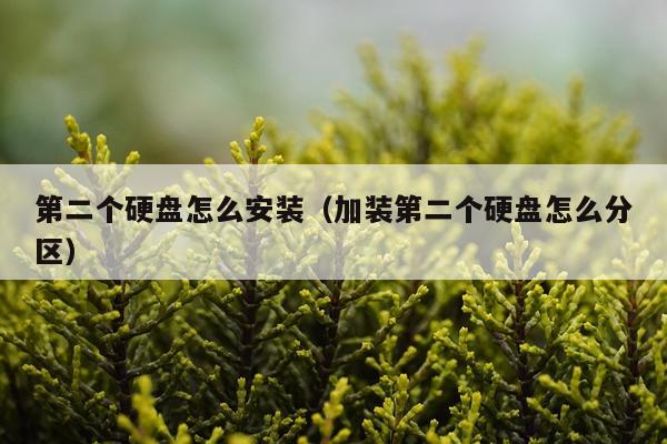第二个硬盘怎么安装（加装第二个硬盘怎么分区）
