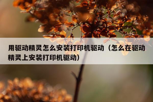用驱动精灵怎么安装打印机驱动（怎么在驱动精灵上安装打印机驱动）