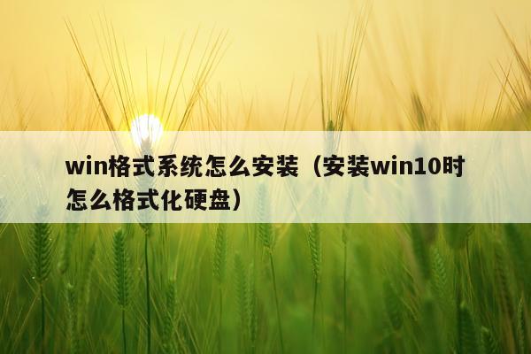 win格式系统怎么安装(安装win10时怎么格式化硬盘)