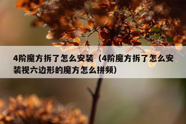 4阶魔方拆了怎么安装(4阶魔方拆了怎么安装视六边形的魔方怎么拼频)