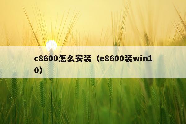 c8600怎么安装(e8600装win10)