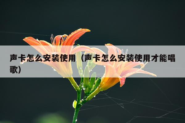 声卡怎么安装使用(声卡怎么安装使用才能唱歌)