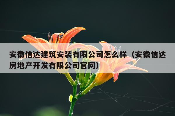 安徽信达建筑安装有限公司怎么样(安徽信达房地产开发有限公司官网)