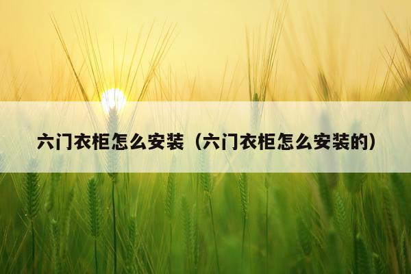 六门衣柜怎么安装(六门衣柜怎么安装的)