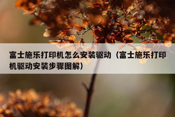 富士施乐打印机怎么安装驱动(富士施乐打印机驱动安装步骤图解)