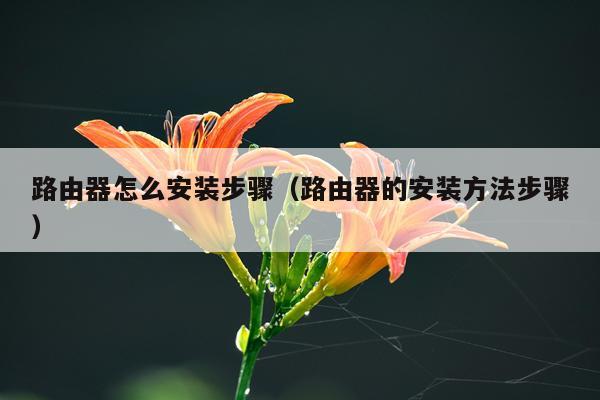 路由器怎么安装步骤（路由器的安装方法步骤）