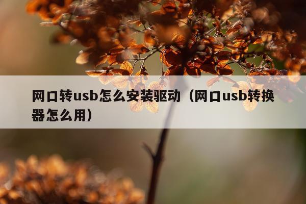网口转usb怎么安装驱动(网口usb转换器怎么用)
