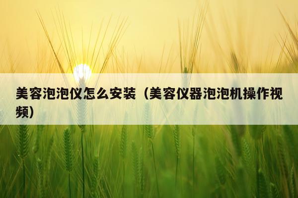 美容泡泡仪怎么安装(美容仪器泡泡机操作视频)