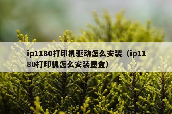 ip1180打印机驱动怎么安装(ip1180打印机怎么安装墨盒)