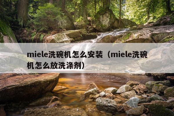 miele洗碗机怎么安装(miele洗碗机怎么放洗涤剂)