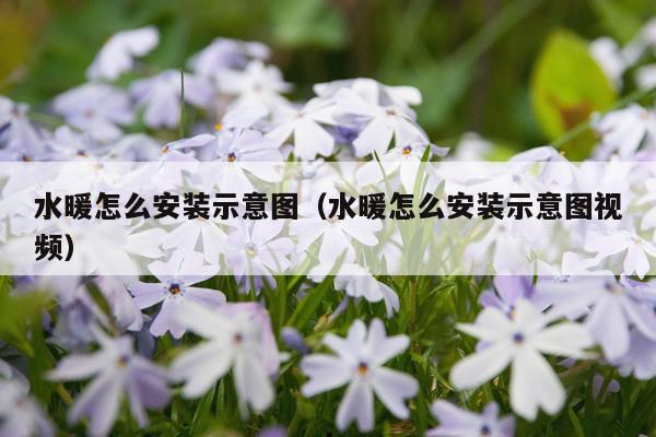 水暖怎么安装示意图(水暖怎么安装示意图视频)