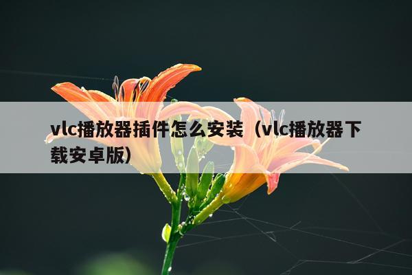 vlc播放器插件怎么安装(vlc播放器下载安卓版)