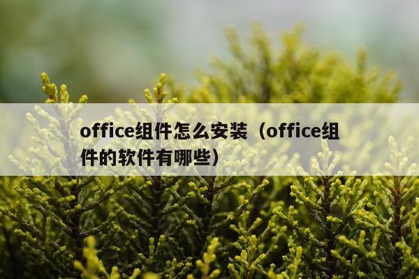 office组件怎么安装(office组件的软件有哪些)