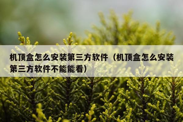机顶盒怎么安装第三方软件(机顶盒怎么安装第三方软件不能能看)