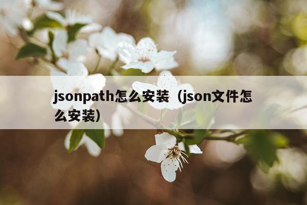 jsonpath怎么安装(json文件怎么安装)